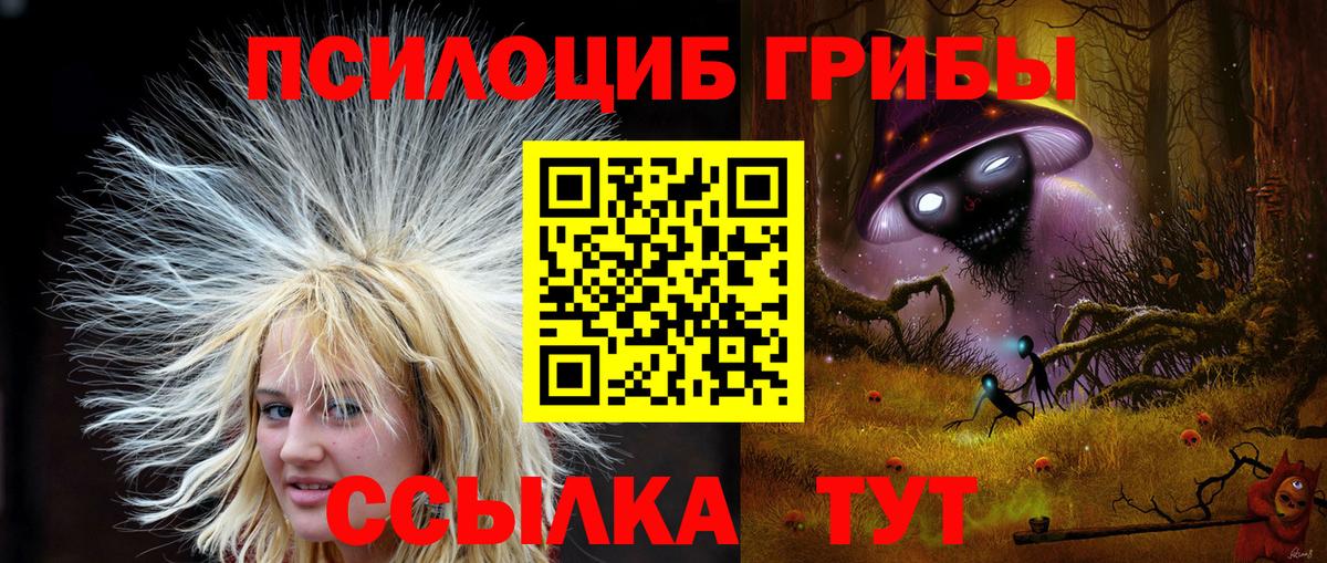 Галлюциногенные грибы Psilocybine cubensis  Вход с VPN  Галлюциногенные грибы мухоморы  Сургут 