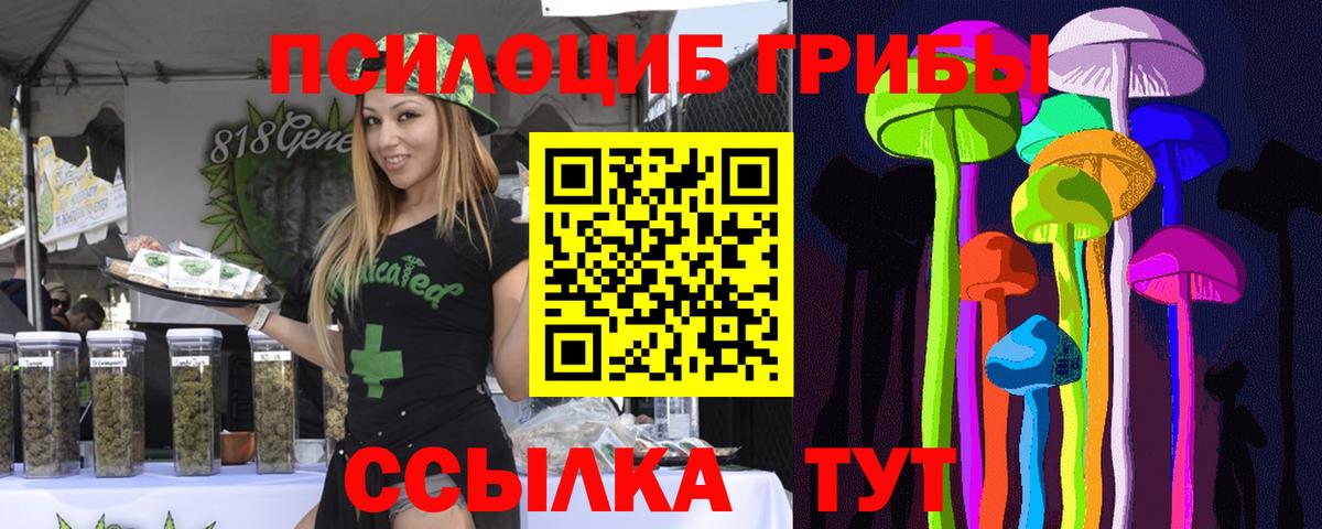 Галлюциногенные грибы Magic Shrooms Сургут